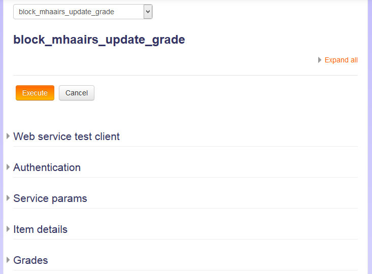 mhaairs-admin-web-service-test-client-02.png