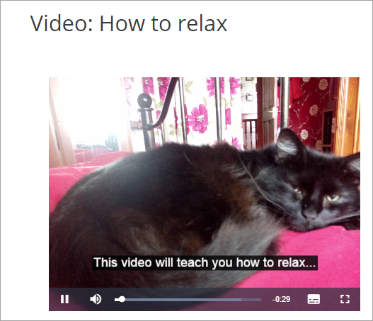DocsVideoVideoJS.png