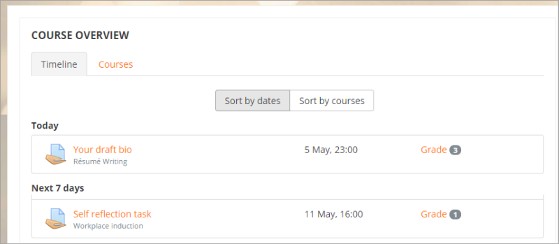 33COTeacherView.png