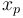 x_p
