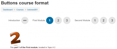 Buttons course format 9 buttons section 2.png
