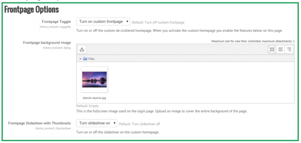 Evolved theme frontpage options.png